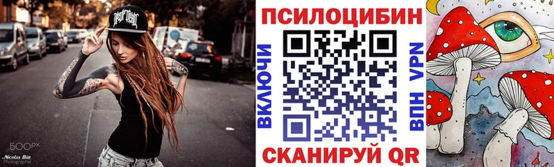 Галлюциногенные грибы Psilocybine cubensis  Ивангород 